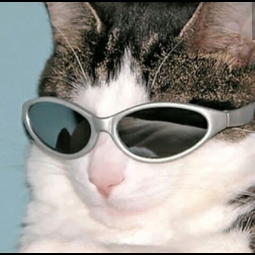 Meet your Posher, Jason